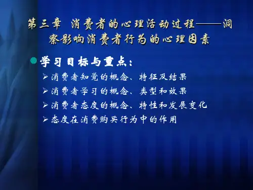 消费者行为分析消费者的知觉ppt课件