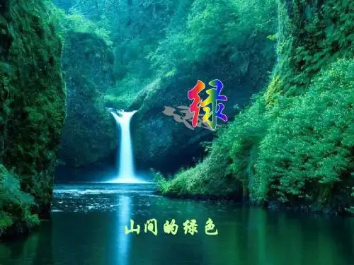 (讲课用)《囚绿记》课件.ppt