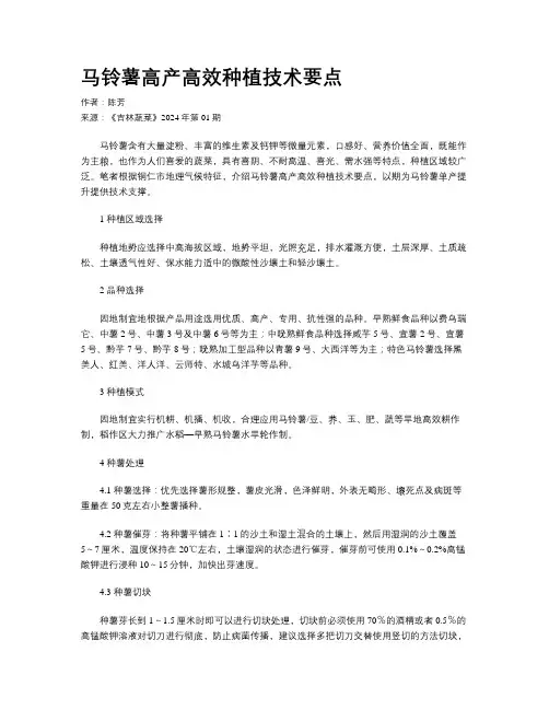 马铃薯高产高效种植技术要点