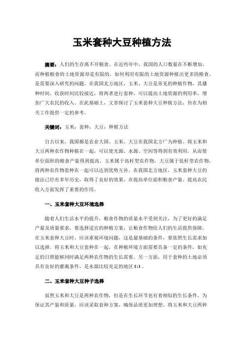 玉米套种大豆种植方法