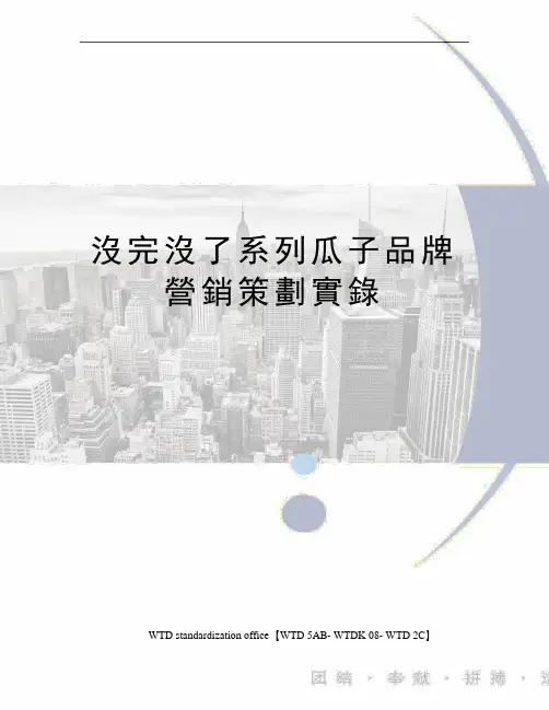 没完没了系列瓜子品牌营销策划实录