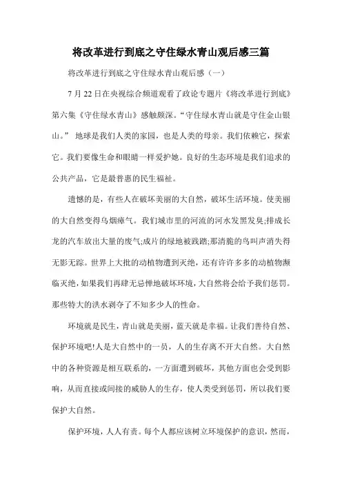 将改革进行到底之守住绿水青山观后感三篇