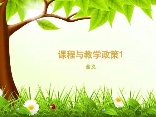 课件5-1-课程与教学政策