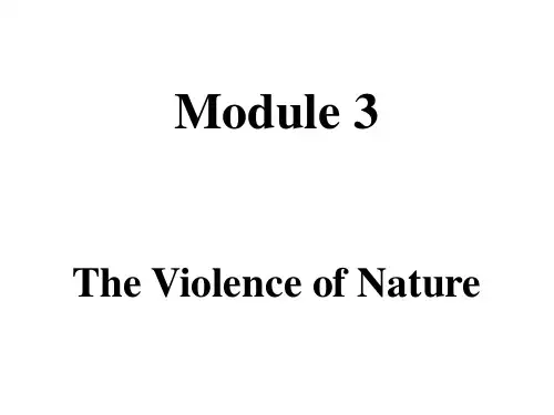 外研英语必修3Module3 Cultural Corner课件(共21张PPT)