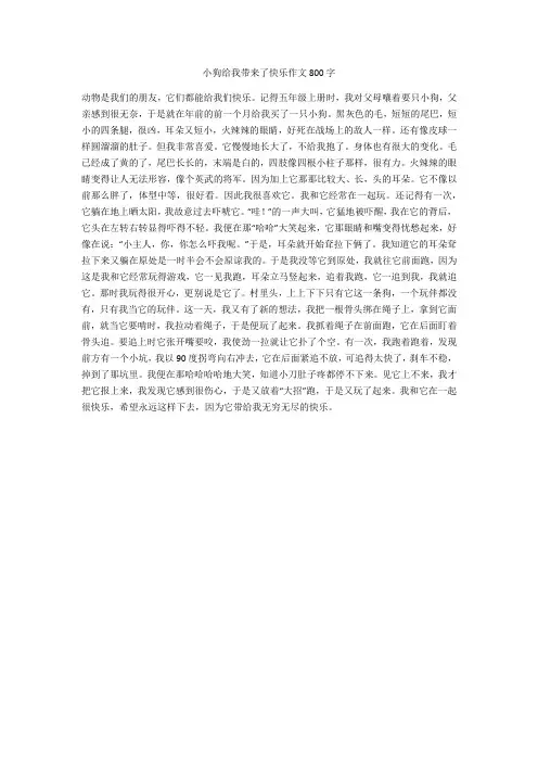 小狗给我带来了快乐作文800字(优秀作文)