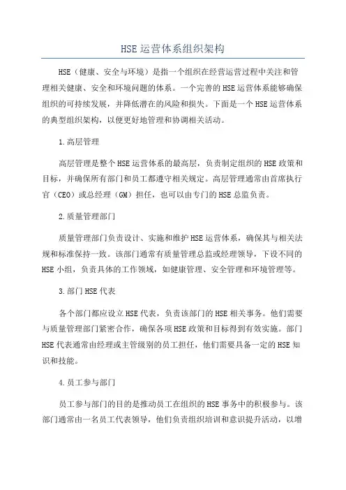 HSE运营体系组织架构