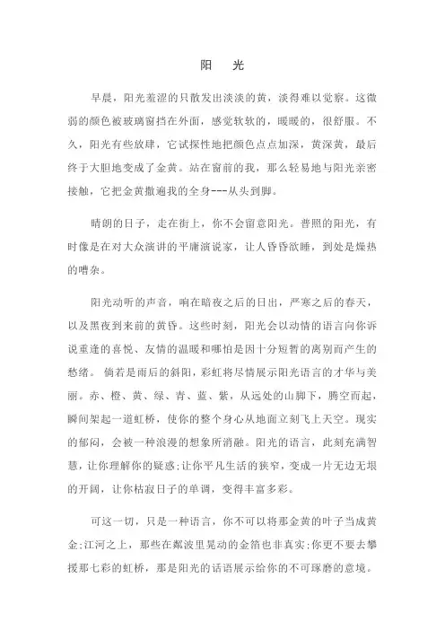 中考满分作文《阳光》
