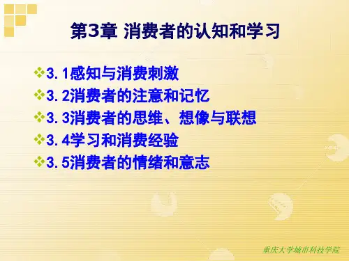 消费者行为学课件20120903第3章