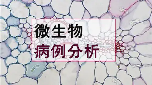 微生物 病例分析 单核细胞增多症