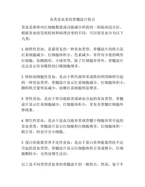 各类贫血者的骨髓涂片特点