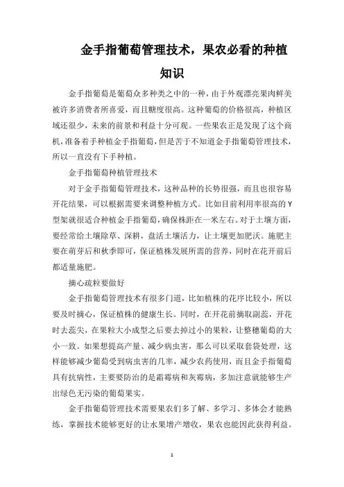 金手指葡萄管理技术,果农必看的种植知识