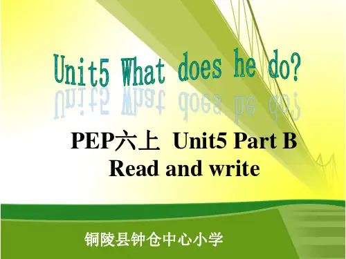 六年级上册英语课件Unit 5 What does he do？人教(PEP) (2)PPT