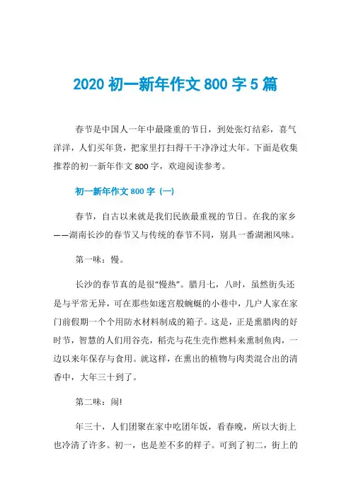 2020初一新年作文800字5篇