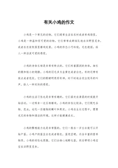 有关小鸡的作文