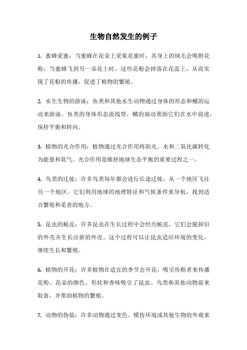 生物自然发生的例子