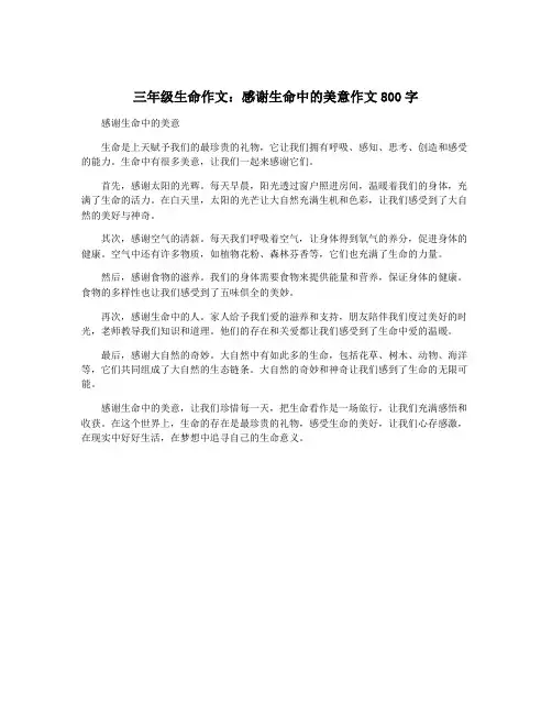 三年级生命作文：感谢生命中的美意作文800字