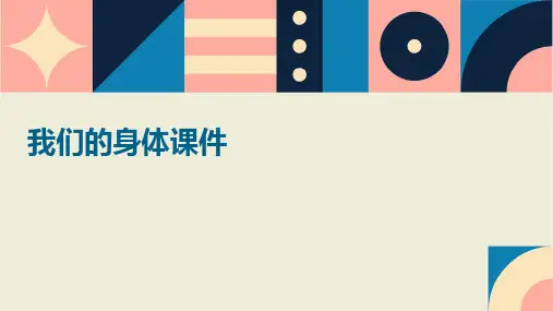 我们的身体课件 ppt