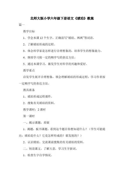 北师大版小学六年级下册语文《琥珀》教案.doc
