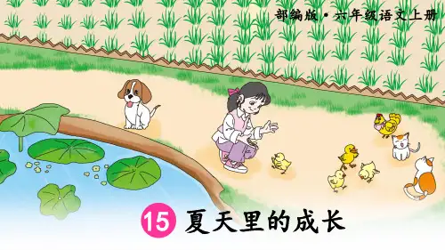 部编版小学六年级语文上册第15课《夏天里的成长》优质课件(共80张PPT)
