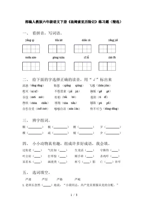 部编人教版六年级语文下册《汤姆索亚历险记》练习题(精选)