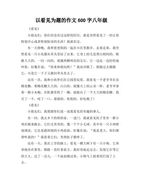 以看见为题的作文600字八年级