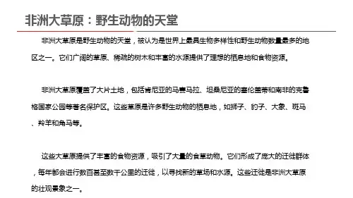  非洲大草原：野生动物的天堂