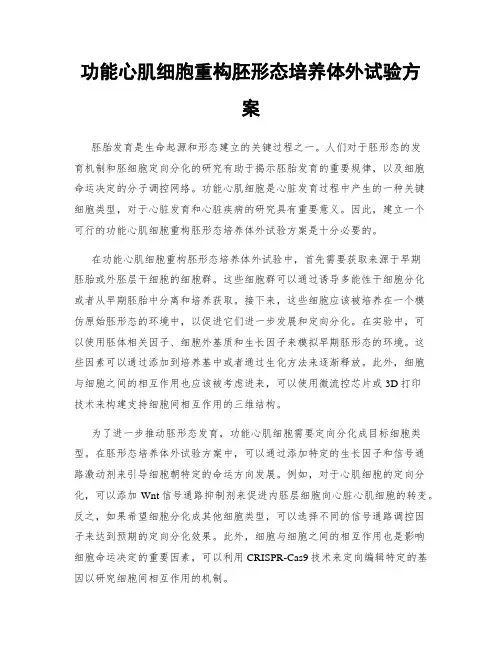 功能心肌细胞重构胚形态培养体外试验方案