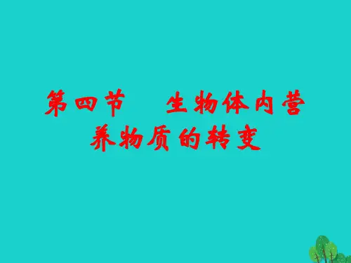 高中生物第一册第4章生命的物质变化和能量转换44生物体内营养物质的转换(2)沪科版PPT课件