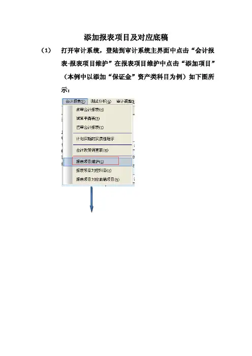 鼎信诺5000系列审计系统中如何添加报表项目
