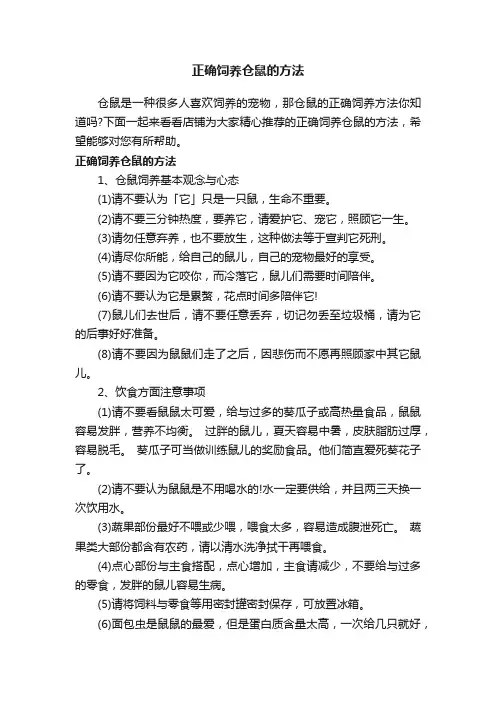 正确饲养仓鼠的方法