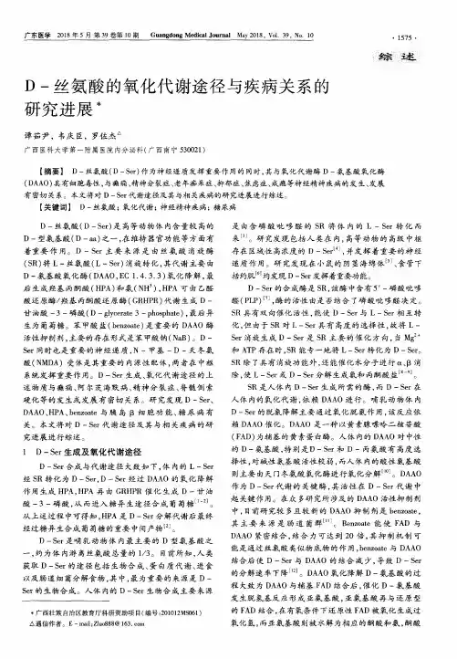 D-丝氨酸的氧化代谢途径与疾病关系的研究进展