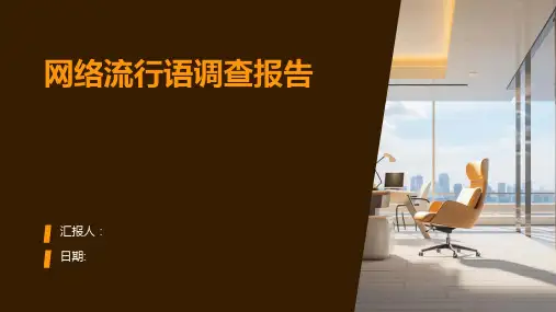 网络流行语调查报告