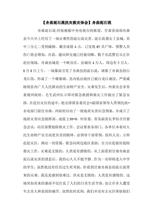 【舟曲泥石流抗灾救灾体会】舟曲泥石流.doc