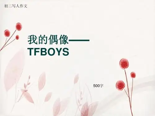 初二写人作文《我的偶像——TFBOYS》500字(总8页PPT)