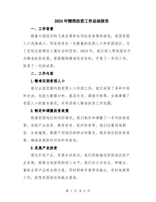 2024年精准扶贫工作总结报告