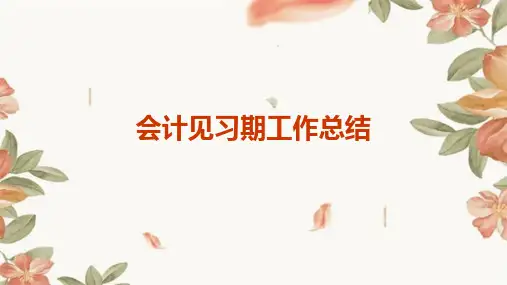 会计见习期工作总结PPT