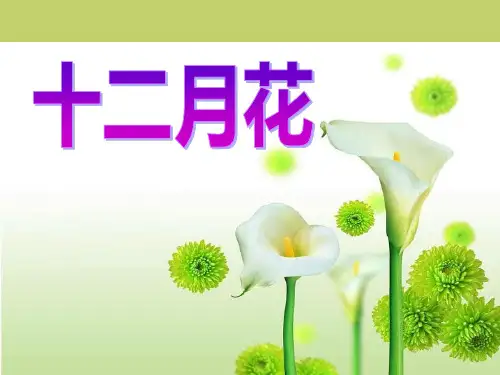 《十二月花歌》精品 课件 