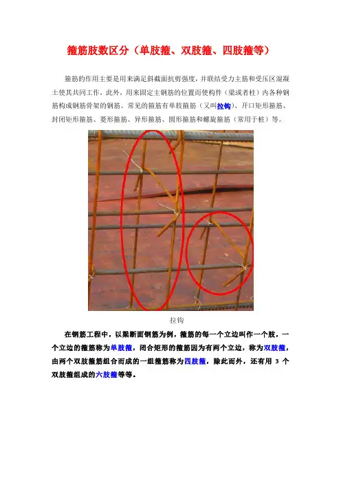 箍筋肢数区分(单肢箍、双肢箍、四肢箍等)75467