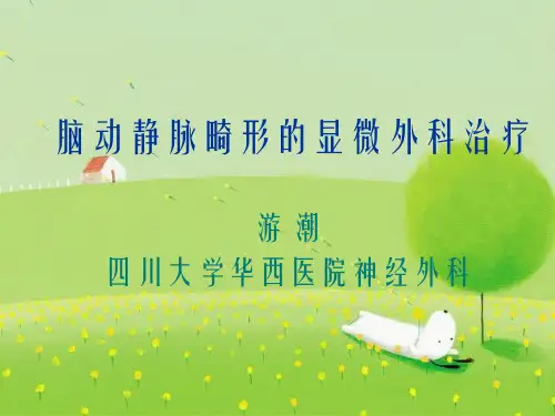 脑动静脉畸形的显幻灯片PPT