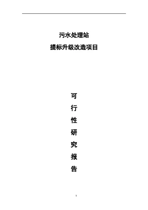 污水处理站提标升级项目可研报告【范本模板】