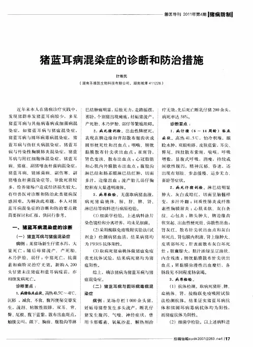 猪蓝耳病混染症的诊断和防治措施
