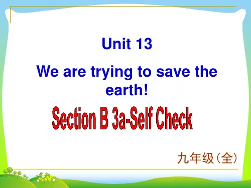 人教版九年级英语下册Unit 13 Section B-3优质课课件