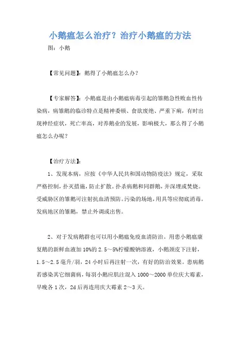 小鹅瘟怎么治疗？治疗小鹅瘟的方法