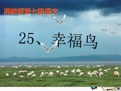 (精选)四年级语文上册第七单元幸福鸟PPT课件2湘教版