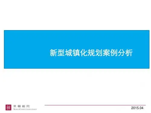 新型城镇化规划案例分析