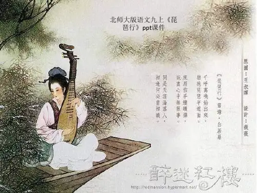 北师大版语文九上《琵琶行》ppt课件
