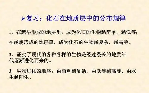 生物八年级下册生物的进化课件