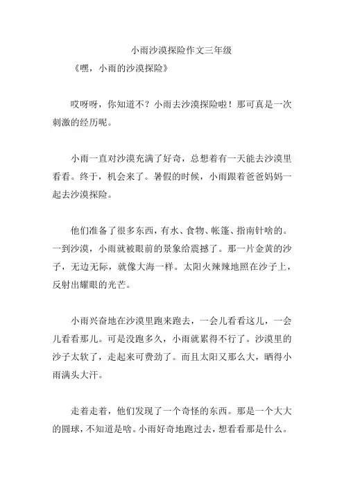 小雨沙漠探险作文三年级