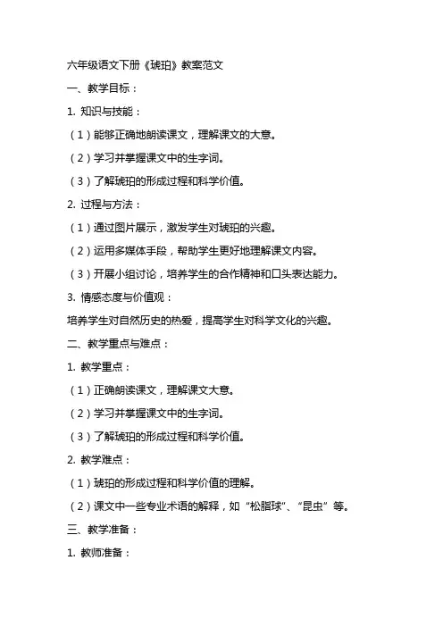 六年级语文下册《琥珀》教案范文
