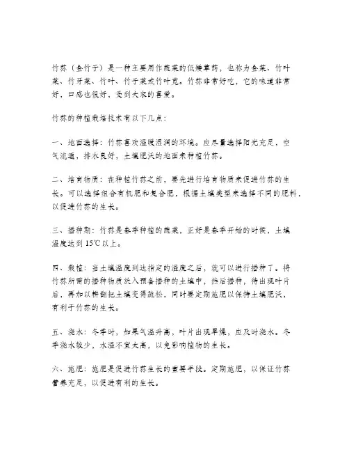 竹荪的种植栽培技术